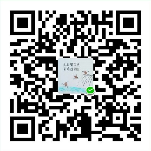  WeChat Pay